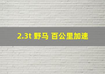 2.3t 野马 百公里加速